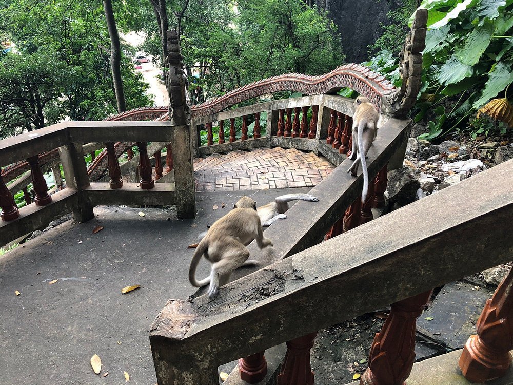 photo1jpg 5