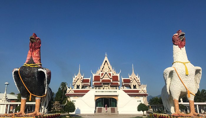 photo2jpg 6