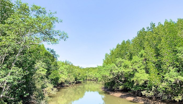 photo3jpg 4