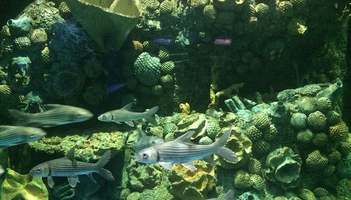 photo7jpg 1