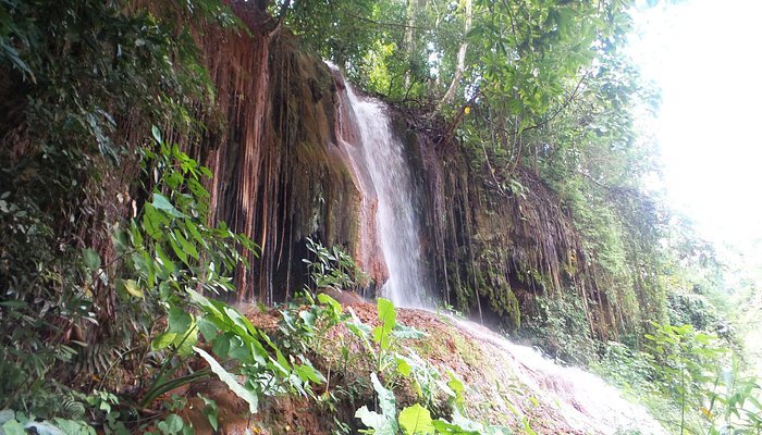 phu sang national park