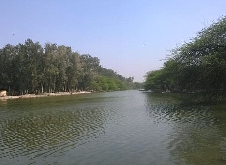 sanjay lake