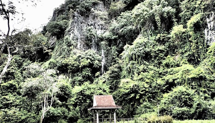 tham pha tup forest park