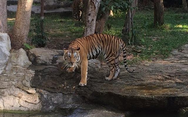 ubon jungle park