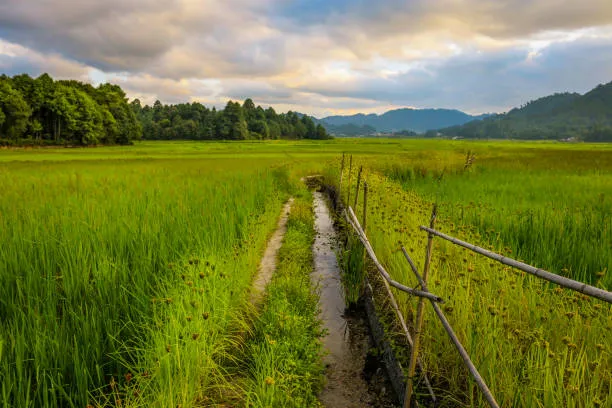 ziro valley in papum pare