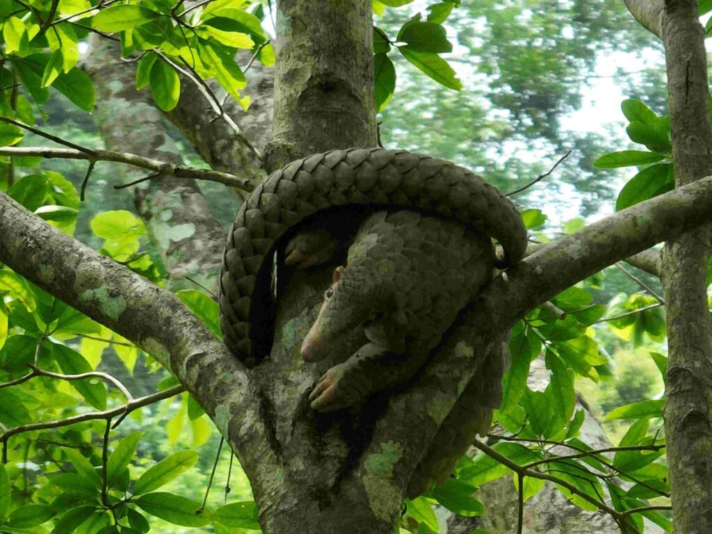 65d7135a725026001e000a7f