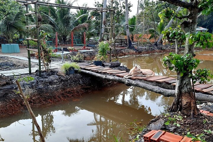 Top 10 Best Places to Visit in Long An – Floating Villages, Wetlands & Cultural Gems 10 9f