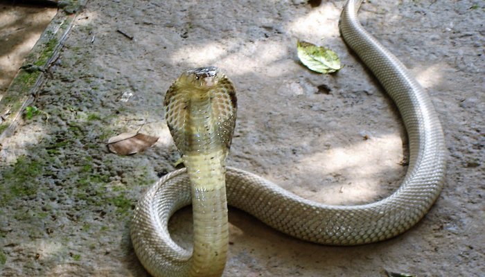 caption 2025 06 02T151428.269