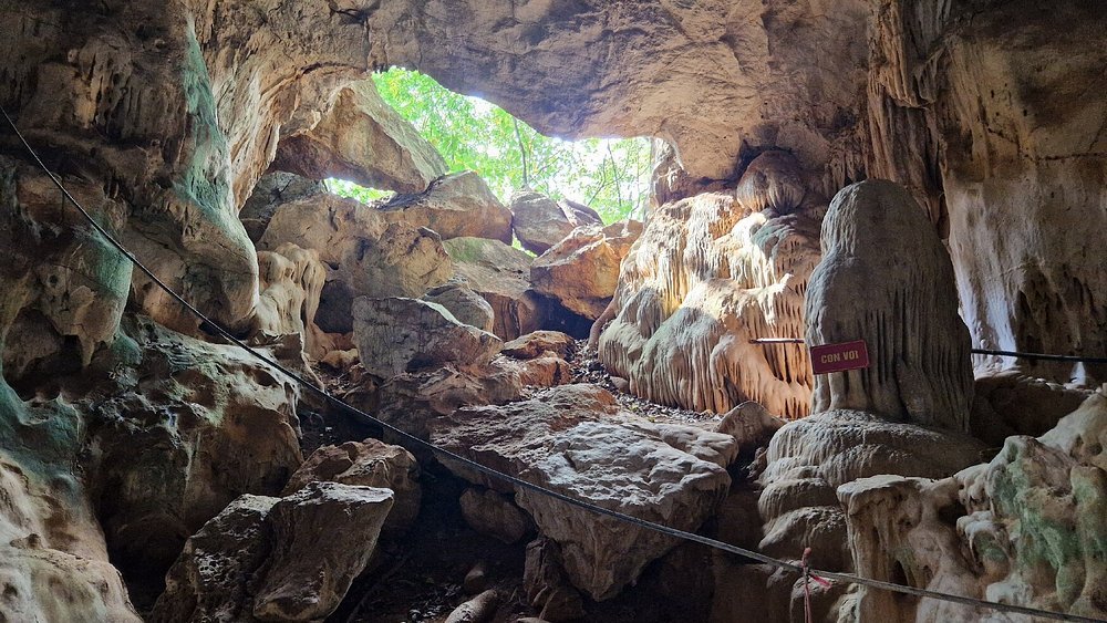 caption 2025 06 03T101617.099