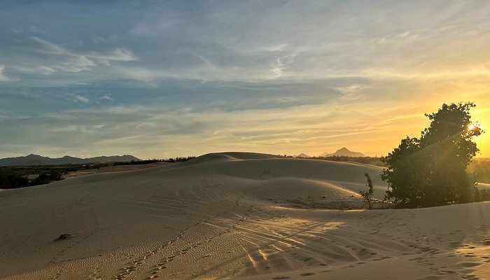 caption 2025 06 04T095312.151