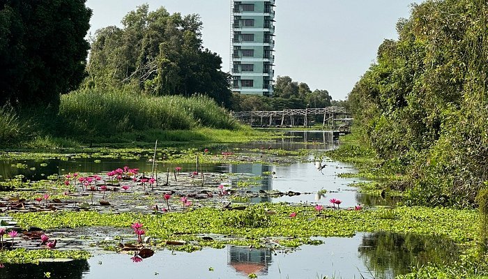 Top 10 Best Places to Visit in Long An – Floating Villages, Wetlands & Cultural Gems 3 caption 2025 06 04T143929.768