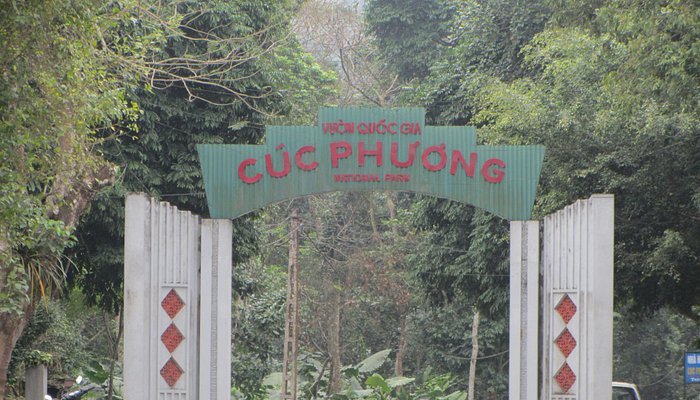 Top 10 Best Places to Visit in Ninh Binh – Trang An, Tam Coc, Hang Mua & More 7 cuc phuong national park