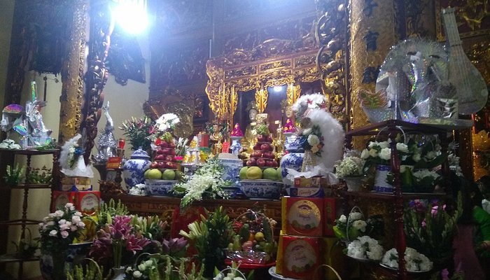 Top 10 Best Places to Visit in Thanh Hóa – Beaches, Nature Reserves & Historical Sites 11 d n co bo