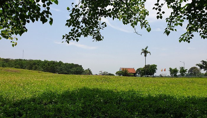 Top 10 Best Places to Visit in Thanh Hóa – Beaches, Nature Reserves & Historical Sites 12 dan te nam giao