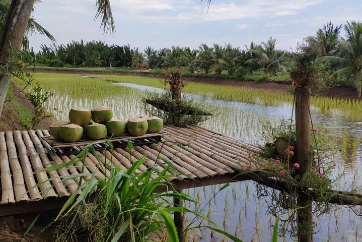 Top 5 Best Places to Visit in Trà Vinh – Khmer Temples, Beaches & Cultural Gems 5 e5