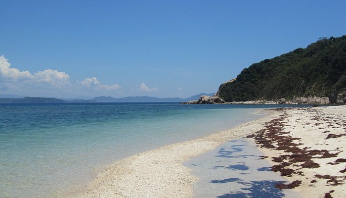 the beachfront