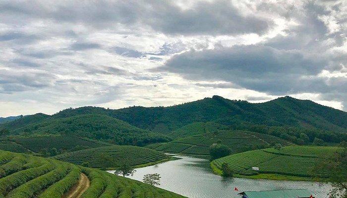 the tea hill from far