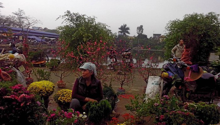 Top 5 Best Places to Visit in Thái Bình – Beaches, Pagodas & Cultural Heritage 2 thong market