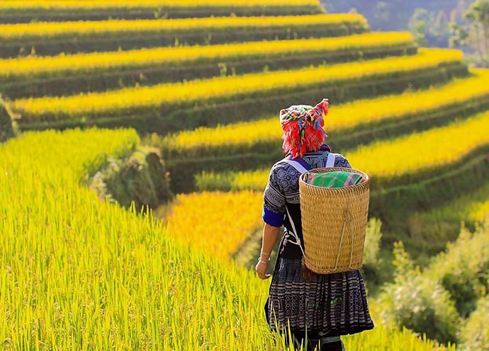 vietmountaintravelcomvn