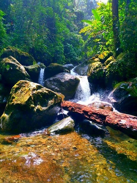 Top 10 Best Places to Visit in Thái Nguyên – Tea Hills, Lakes & Cultural Heritage 6 waterfall in cua tu forest