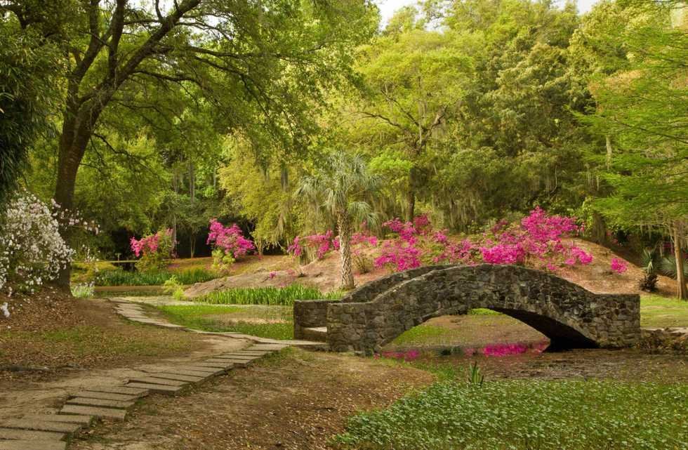 Beautiful pathway on Avery island