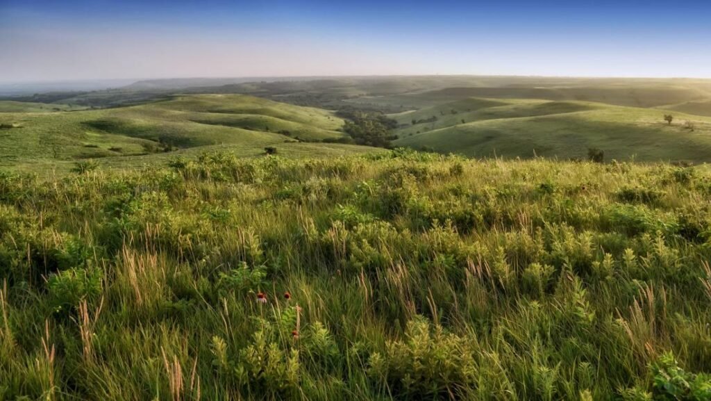 Document 6 c4ec477a 6130 428f ba53 5da23efd02b8