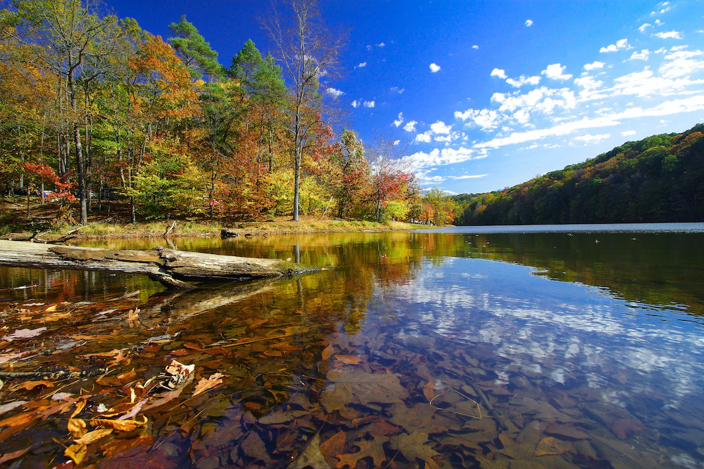 Indiana Travel Top 5 Visiting Places 4 brown county state park during autumn indiana