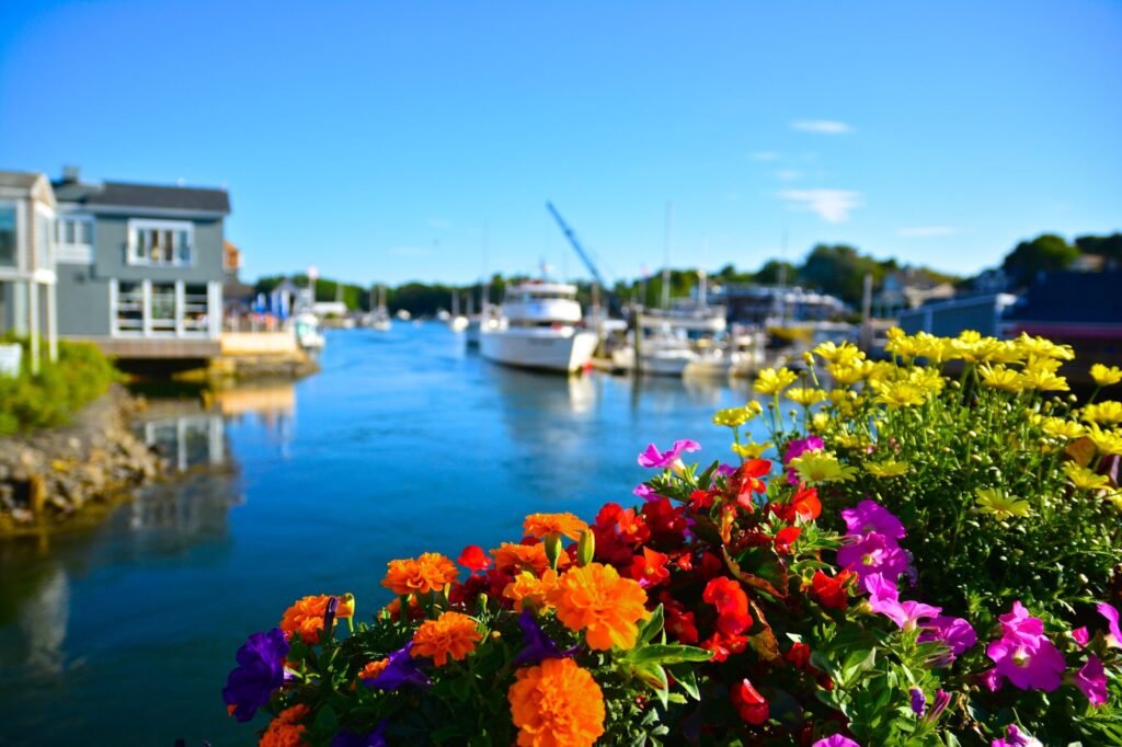 dreamstime l 74242459 scaled 1