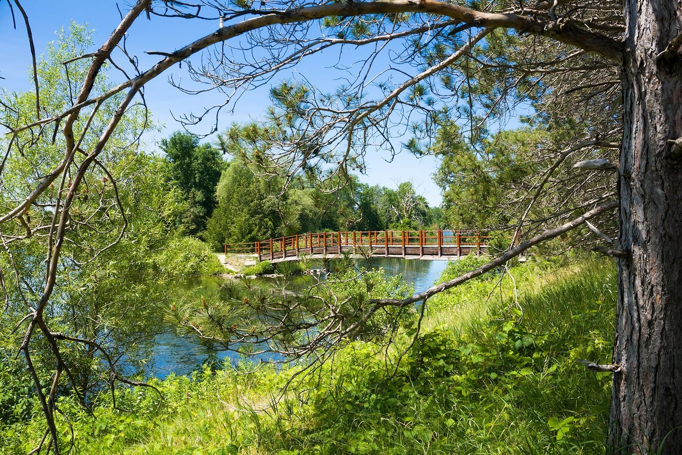 itasca state park ads278118707 1400x933 1