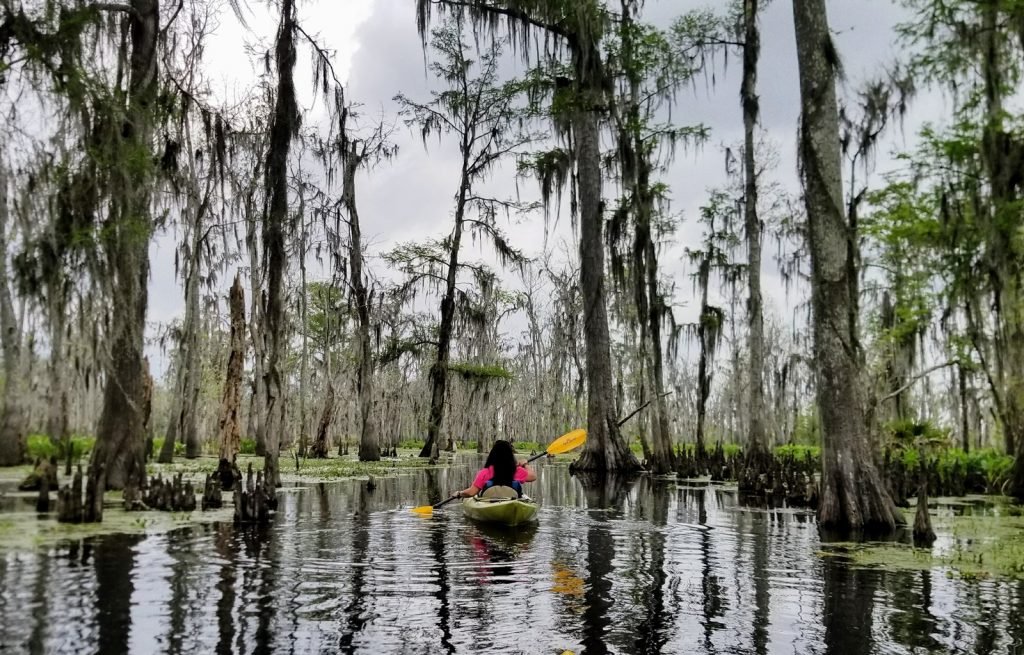 kayaking louisiana swamps 1024x655 1