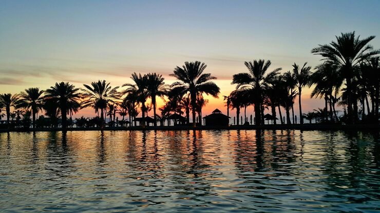 Top 5 Places to Visit in Entre Ríos 5 palm trees by sea sunset 1048944 28347086