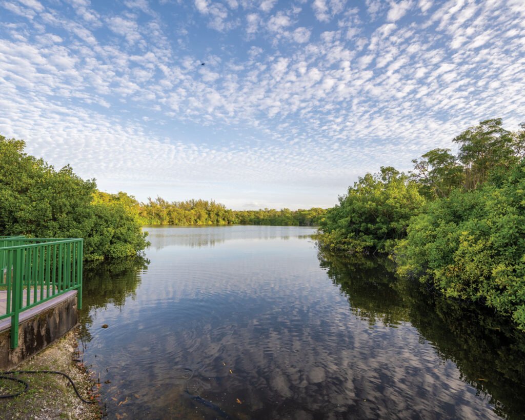 Top 5 Tourist Places in Christ Church, Barbados 7 689354f6a9f68cbfc5584f3a Graeme Hall DSC 5518