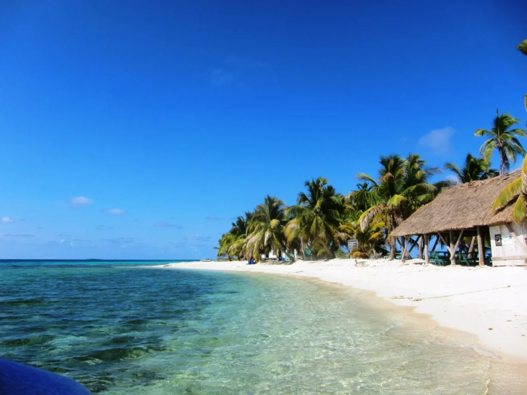 A Vibrant Underwater Paradise for the Ultimate Belize Summer Adventure.jpg
