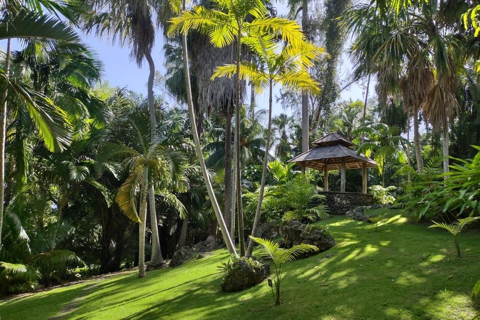 AndromedaImage2 The Palm Garden 940x627 1