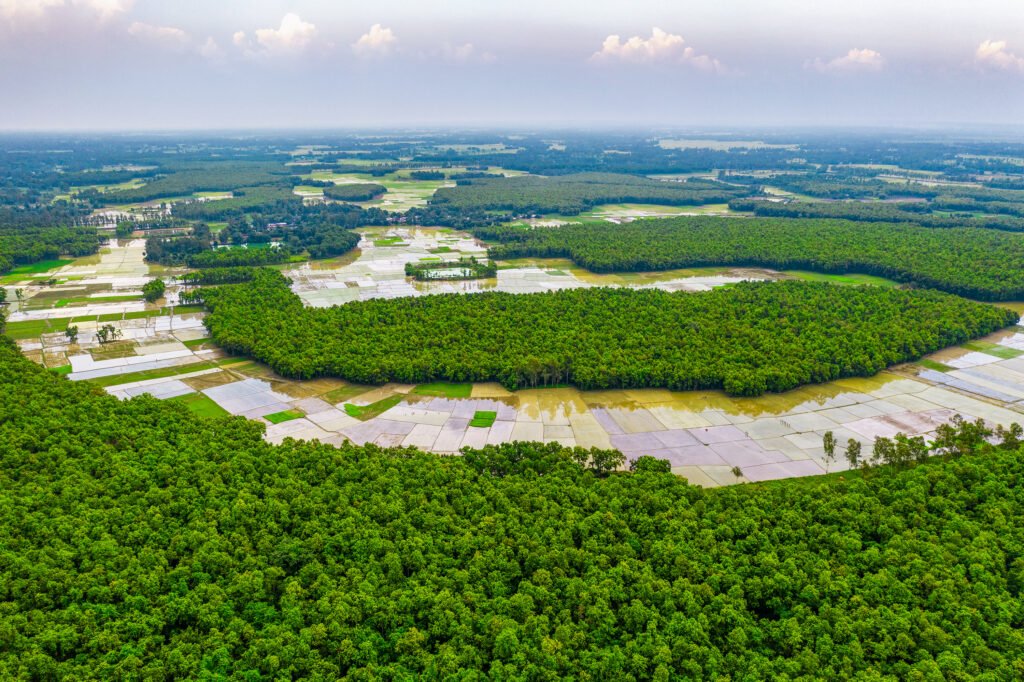 Top 5 Tourist Places in Rangpur, Bangladesh 8 Ramsagar National Park Dinajpur 3656