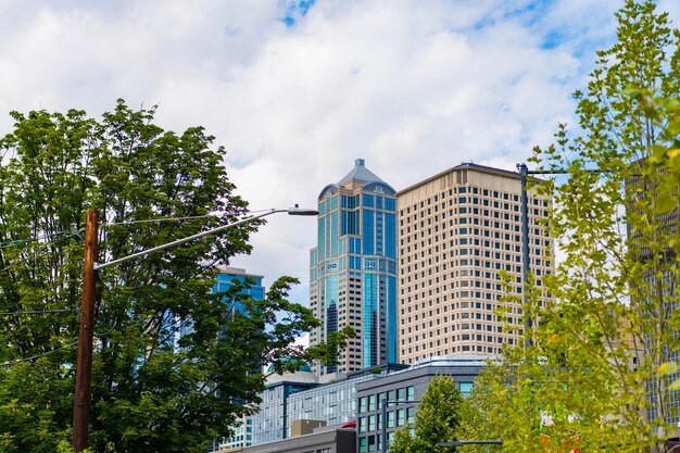 architecture building modern business district city downtown view from central park 474717 194231