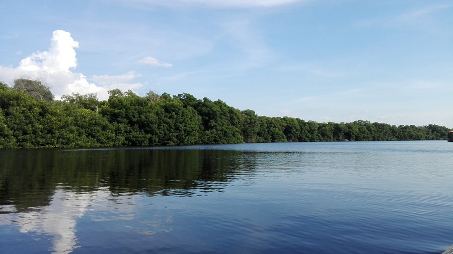 img 20161015 153340 largejpg