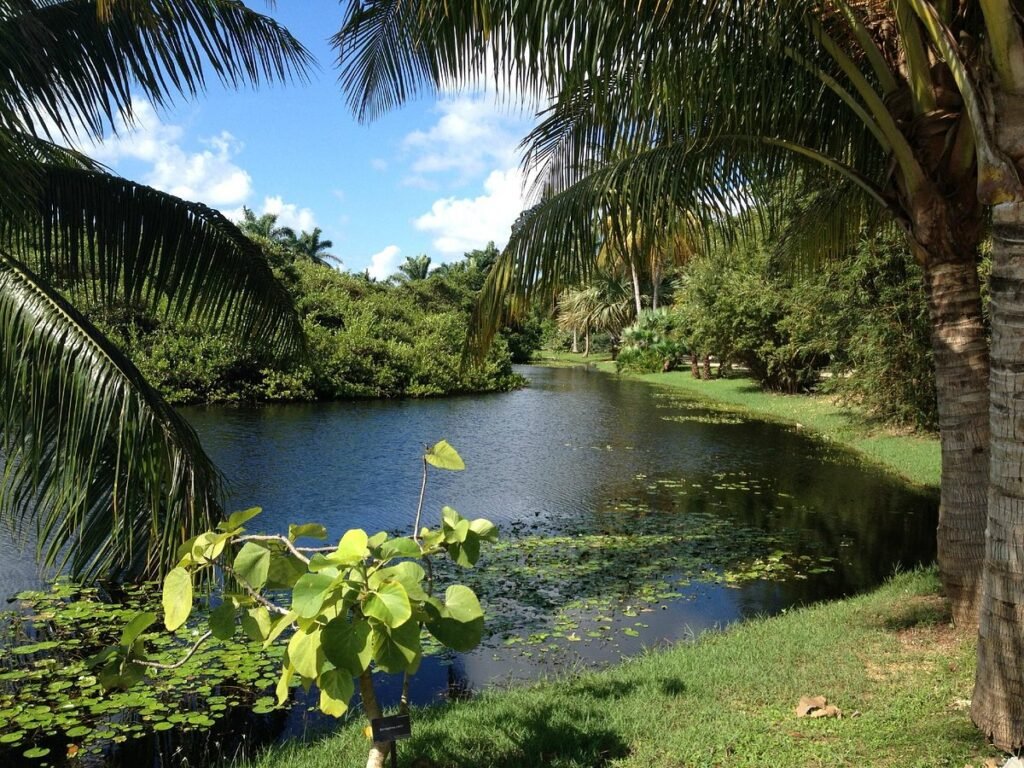 Top 20 Tourist Places in the Cayman Islands 10 parco botanico della