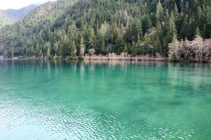 scenic view turquoise lake against forest 1048944 14539003