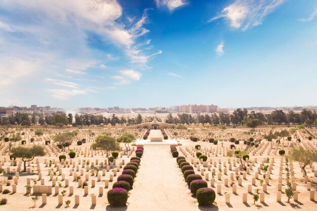 beautiful view el alamein british war cemetery el alamein egypt 403511 1052