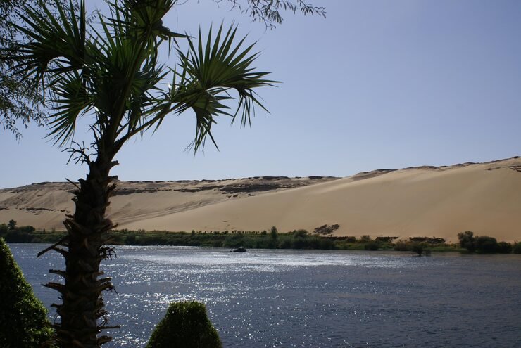 Top 5 Tourist Places in New Valley, Egypt 6 palm trees beach 1048944 7616524