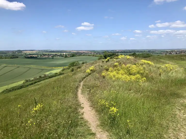 Top 5 place to visit in Peine 8 1UisdR
