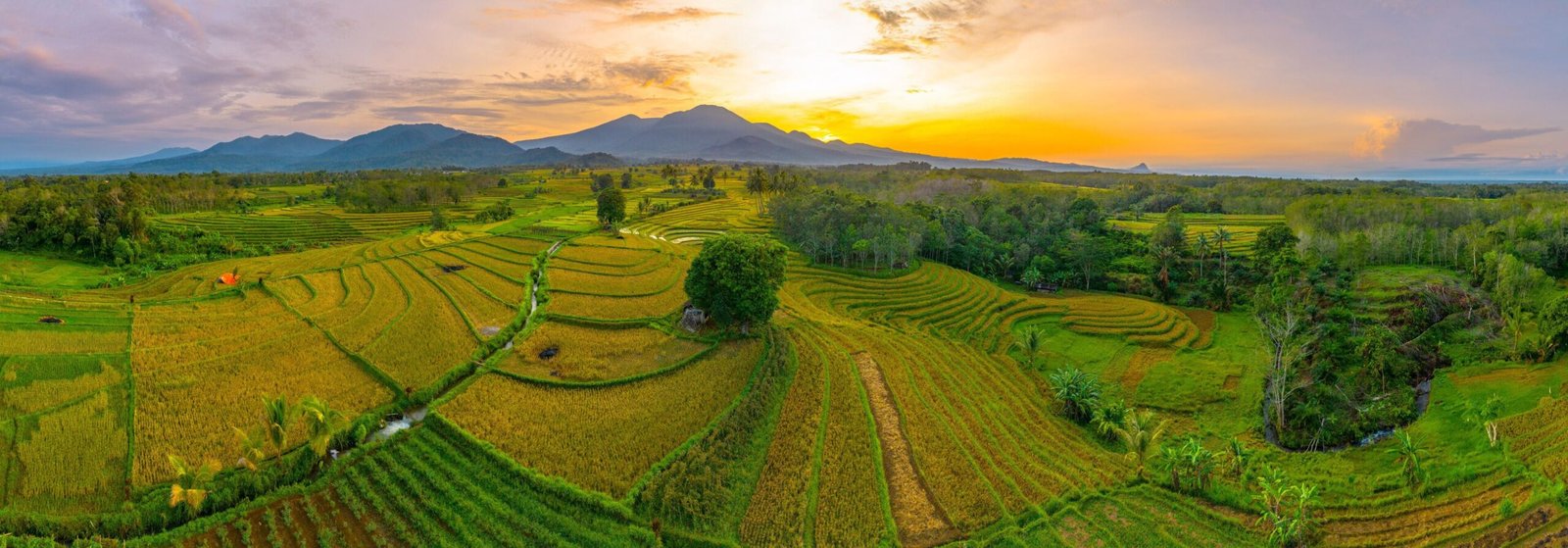 Best place to visit in Bengkulu 1 6b29e7dd 1833 4f84 bfbe 99efd0614e77 scaled