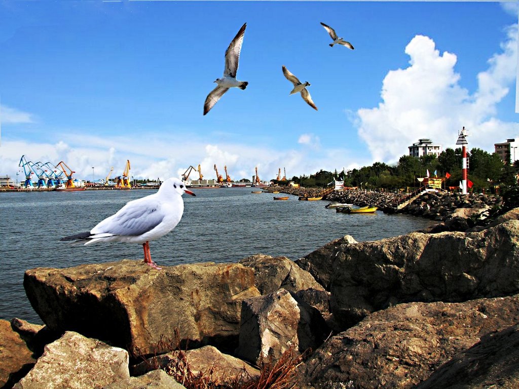 Bandar e Anzali coast