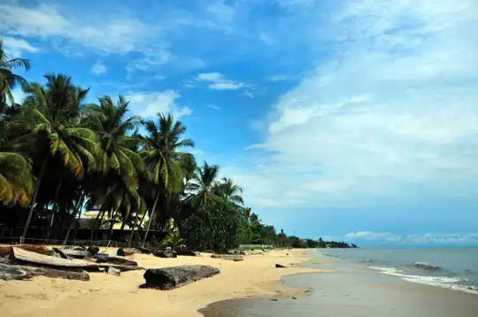 Gabon iStock 184443531.jpg 1 1
