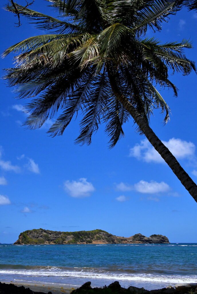 Grenada Marquis Marquis Island
