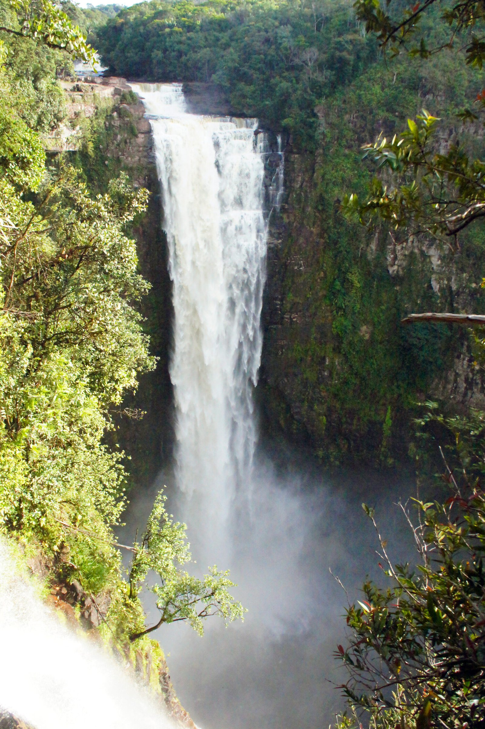 Kamarang Great falls scaled