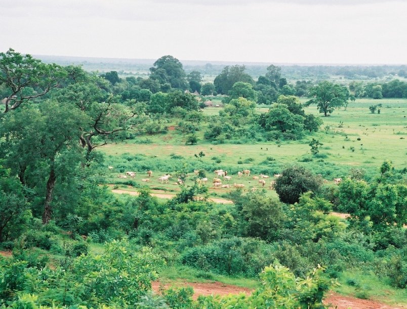 basse santa su countryside