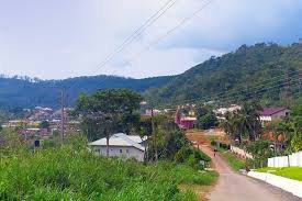 images 6 3