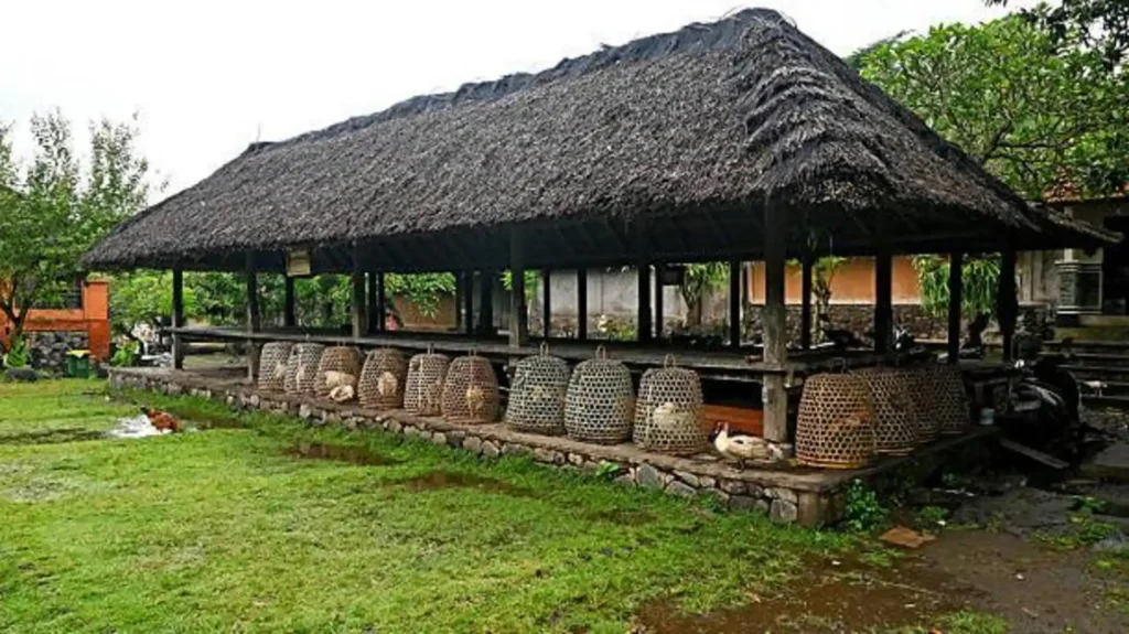 Top 5 place to visit in Canchungo 9 l8520250611123904